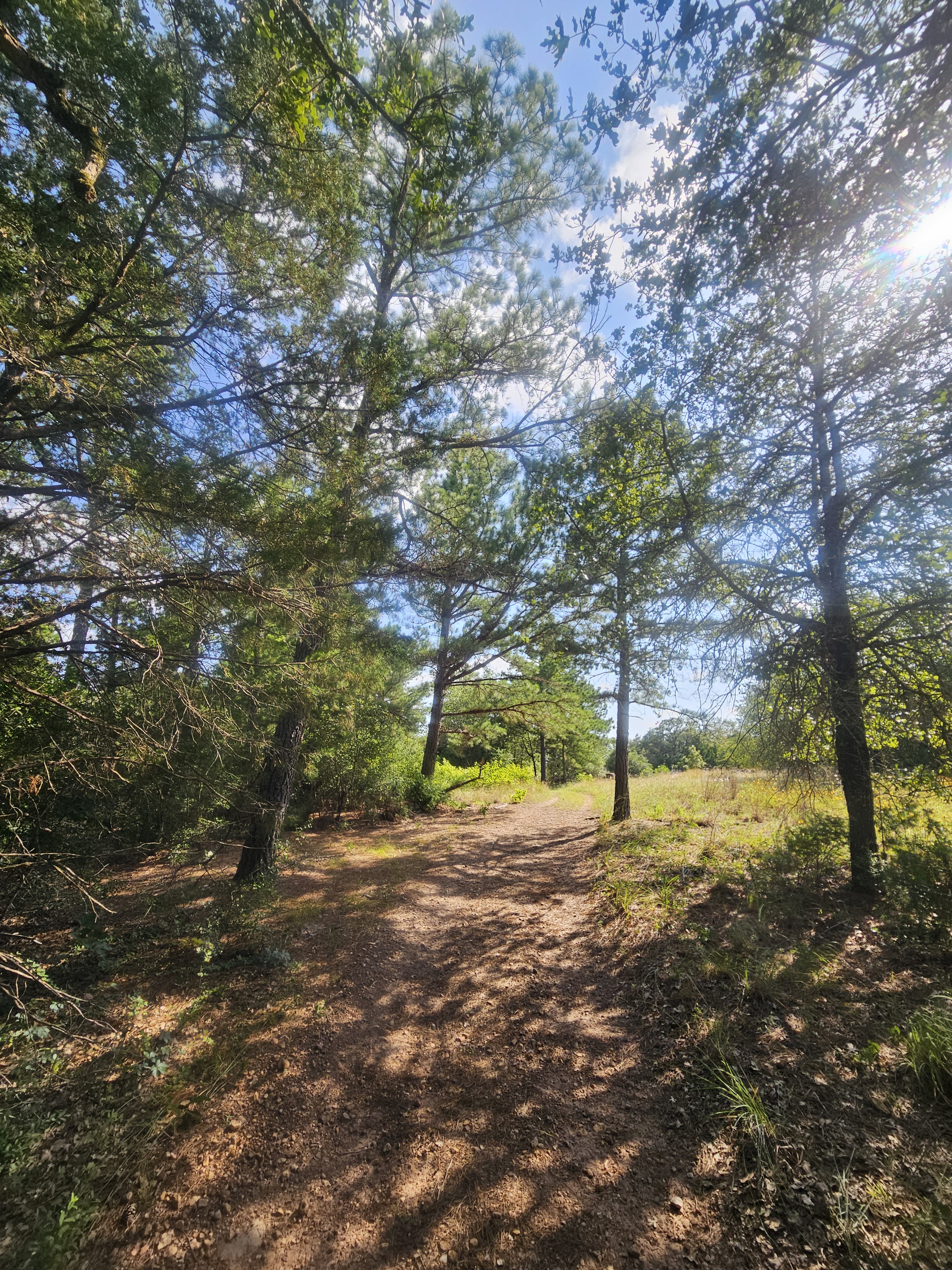 Labor Day Trail Run