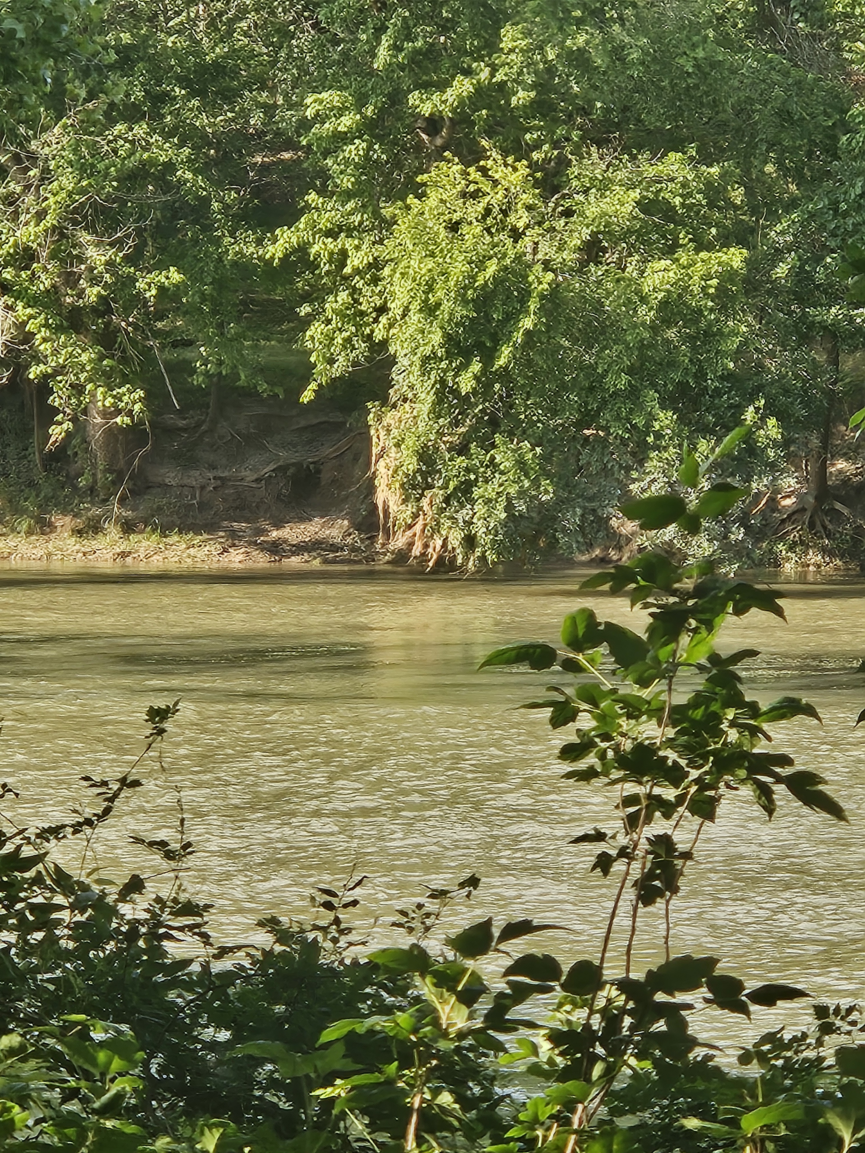 Labor Day Trail Run