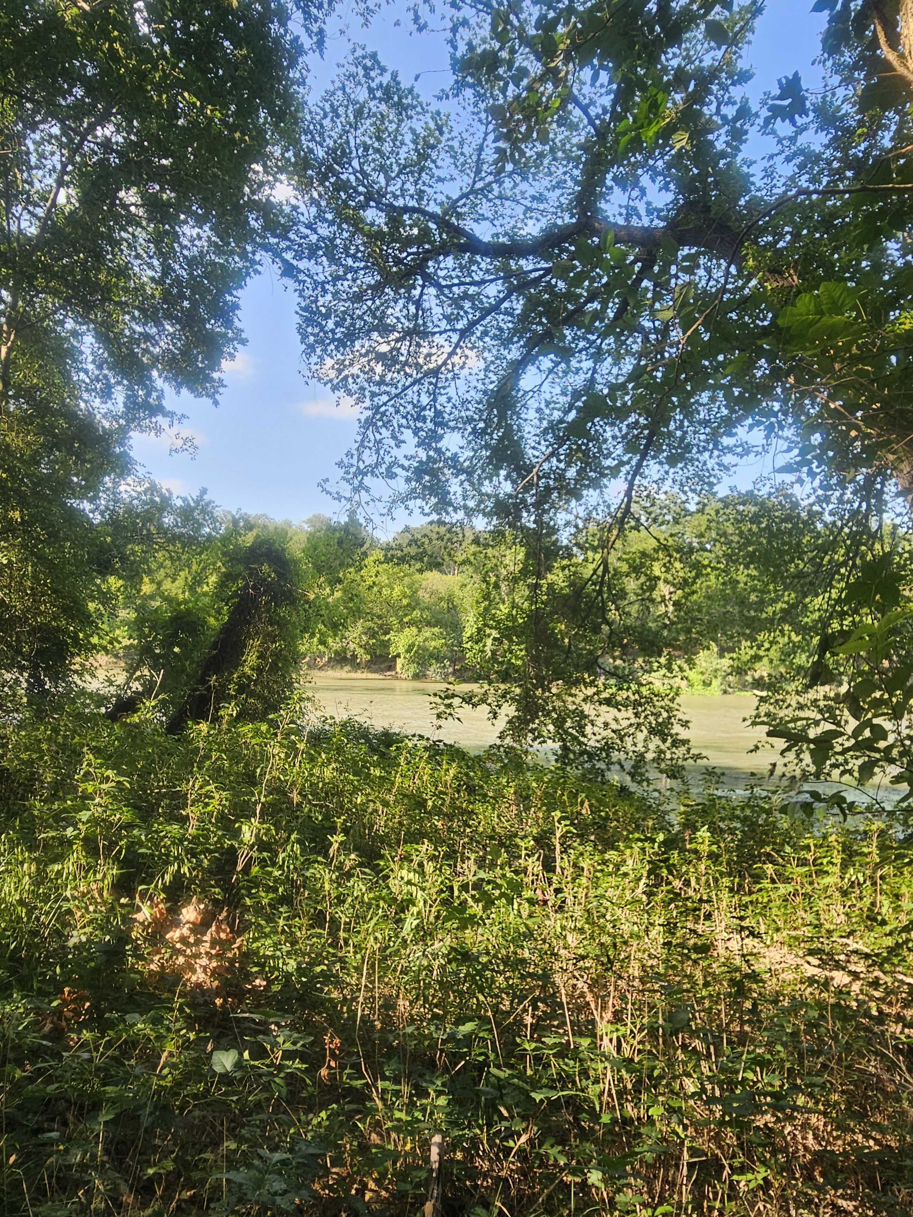 Labor Day Trail Run