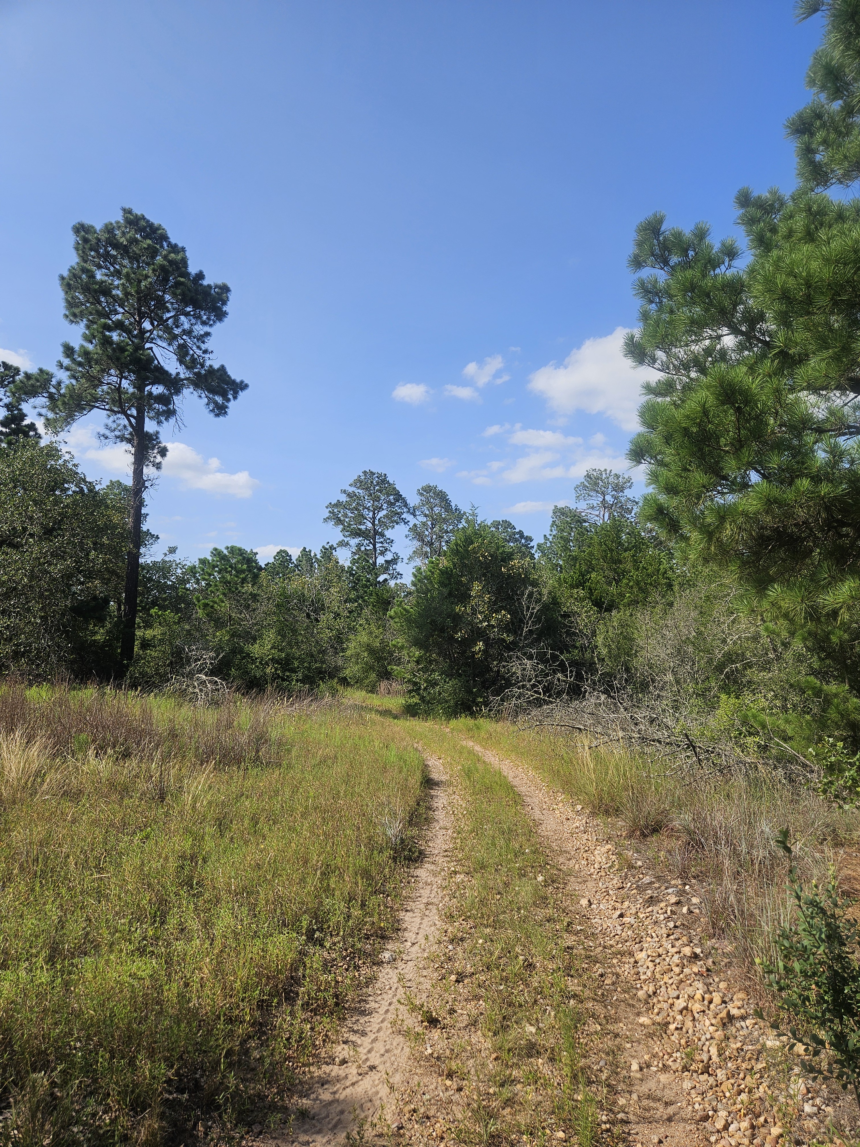 Labor Day Trail Run