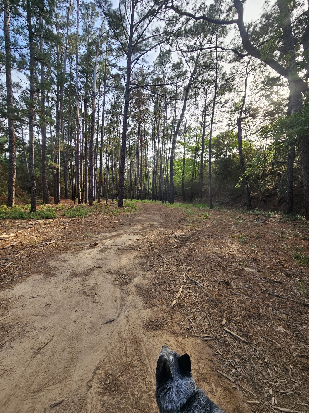 Autumn Harvest Trail Weekend