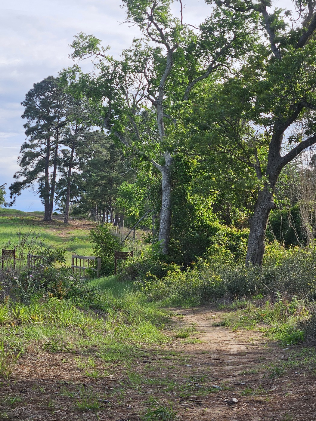 Autumn Harvest Trail Weekend