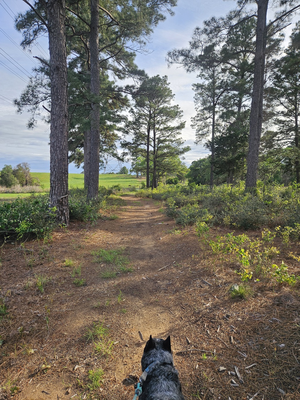 Autumn Harvest Trail Weekend