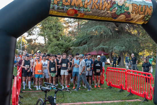 View Start Line in new tab