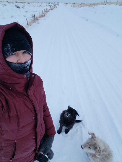 View photos in new tab