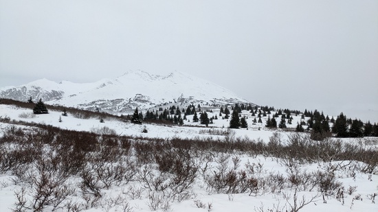 View photos in new tab