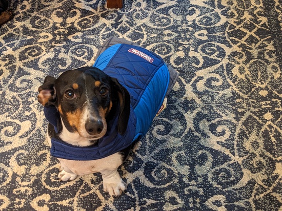 View photos in new tab