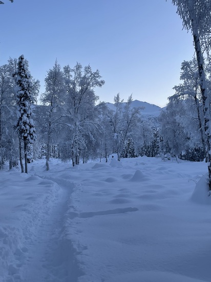 View photos in new tab