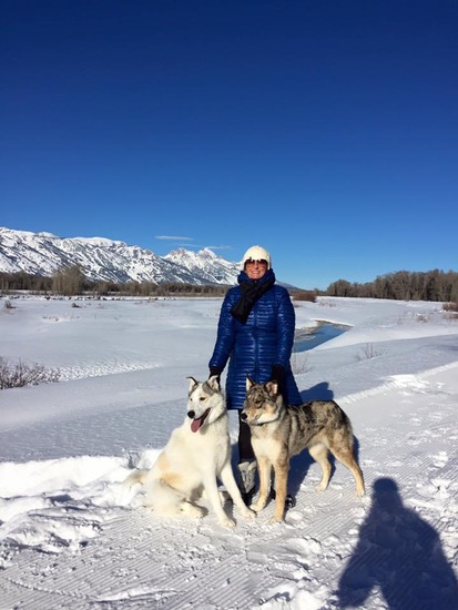 View photos in new tab