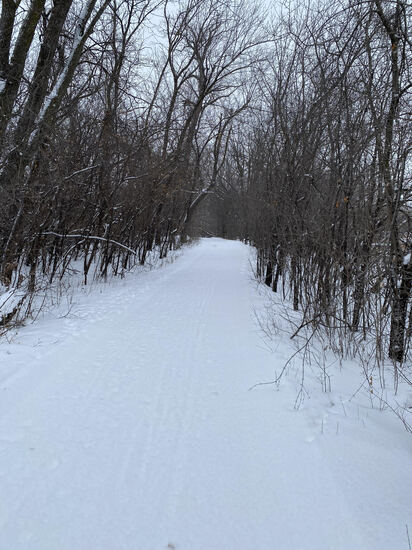 View photos in new tab