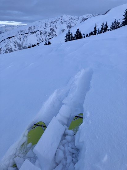 View photos in new tab