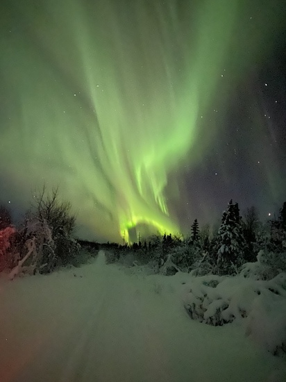 View photos in new tab