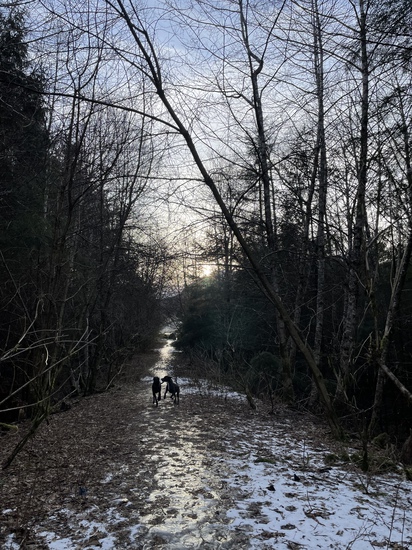 View photos in new tab