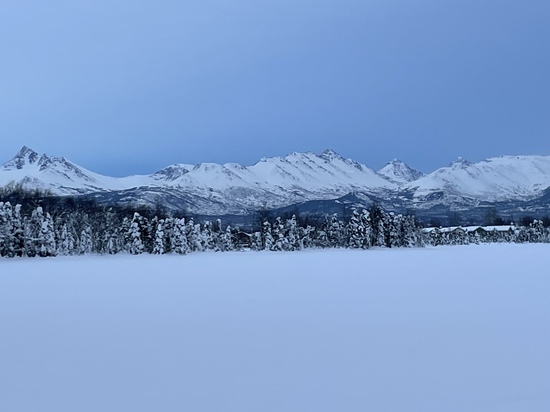 View photos in new tab