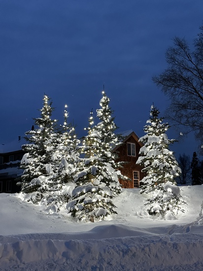 View photos in new tab