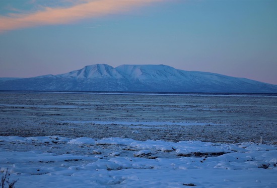 View photos in new tab