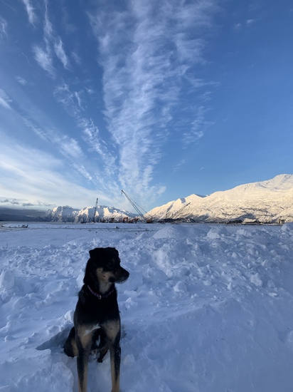 View photos in new tab