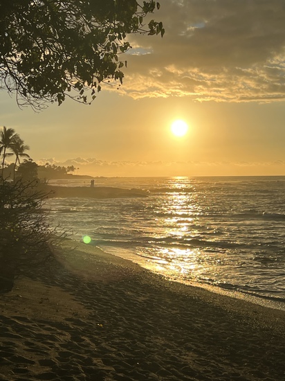 View photos in new tab