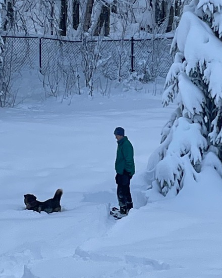 View photos in new tab