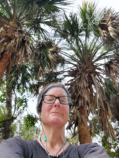 View photos in new tab