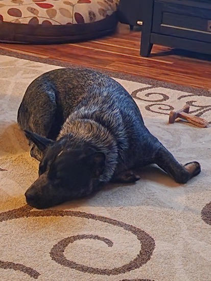 View photos in new tab