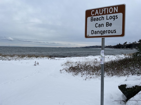 View photos in new tab