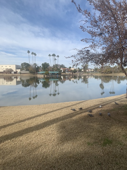 View photos in new tab