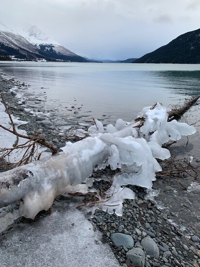 View photos in new tab