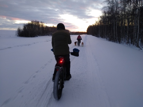 View photos in new tab