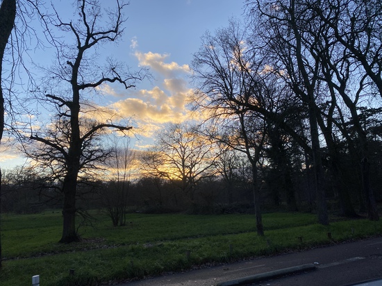 View photos in new tab