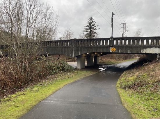 View photos in new tab