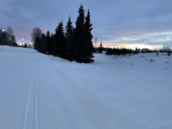 View photos in new tab