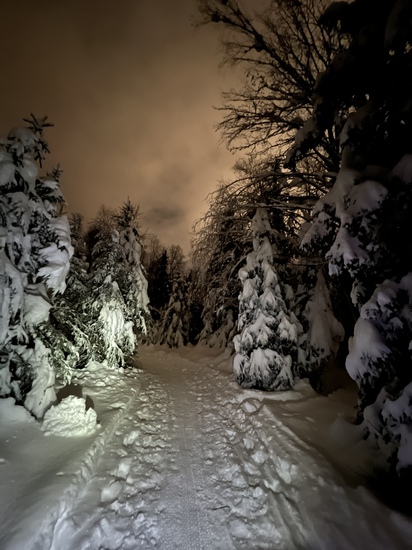 View photos in new tab