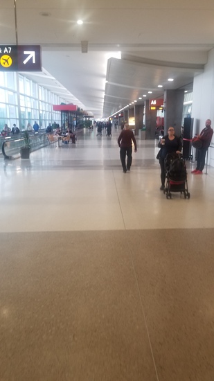 View photos in new tab