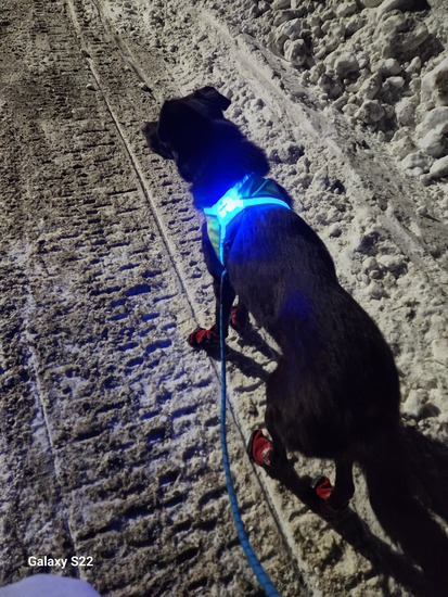 View photos in new tab