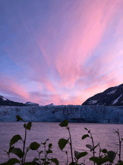 View photos in new tab