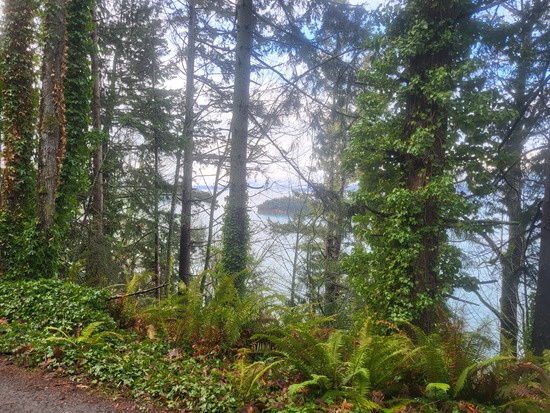 View photos in new tab