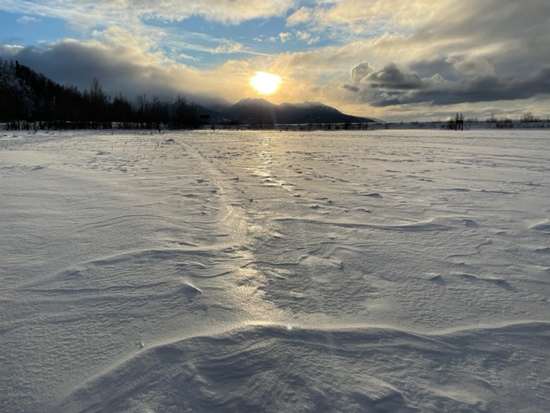 View photos in new tab