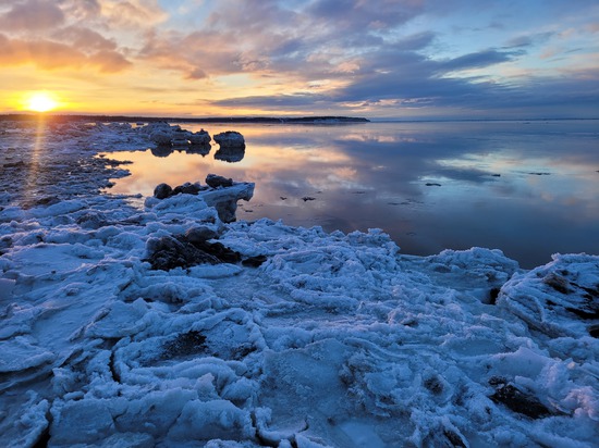 View photos in new tab