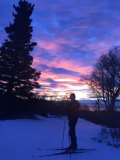 View photos in new tab