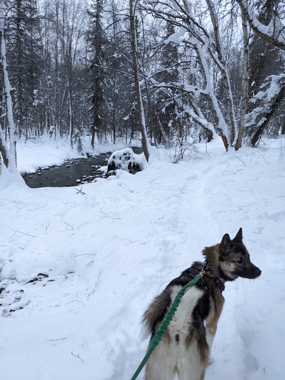 View photos in new tab