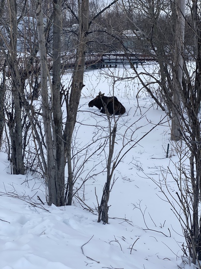 View photos in new tab