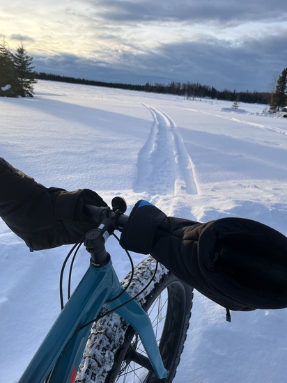 View photos in new tab