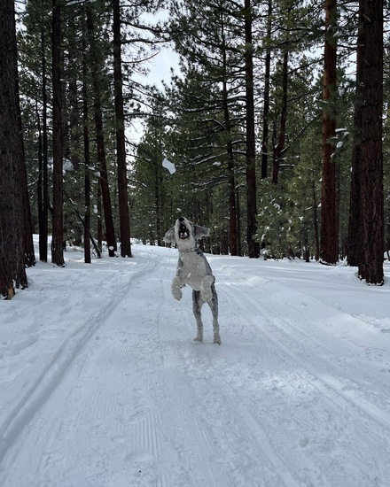 View photos in new tab