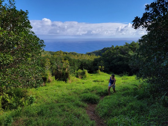 View photos in new tab