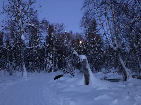 View photos in new tab