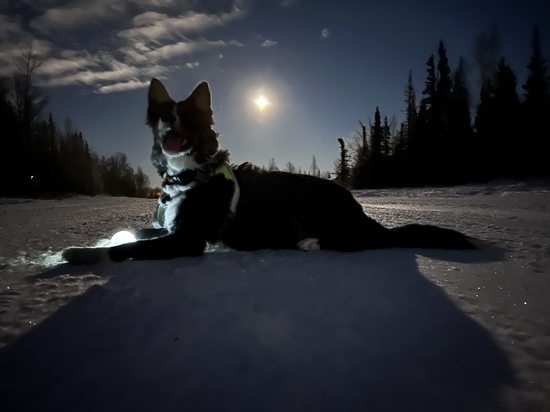 View photos in new tab