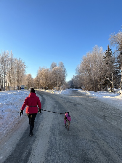 View photos in new tab