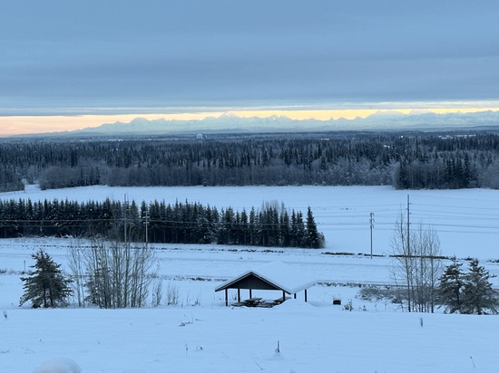 View photos in new tab