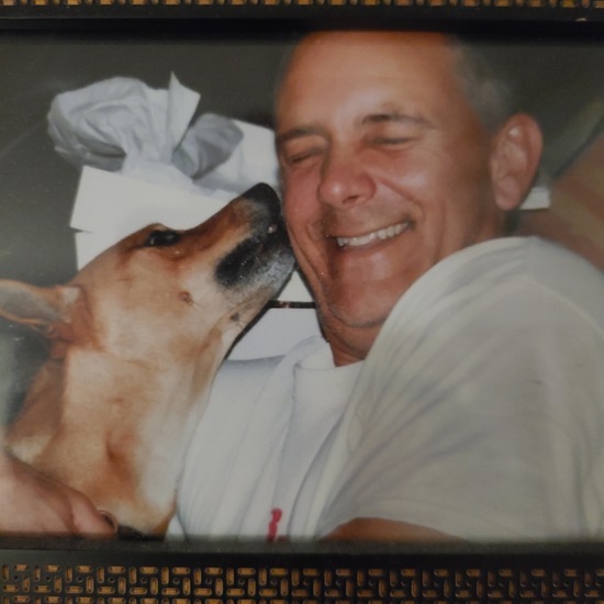 View photos in new tab